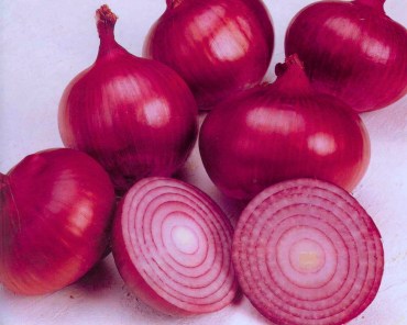 Onion